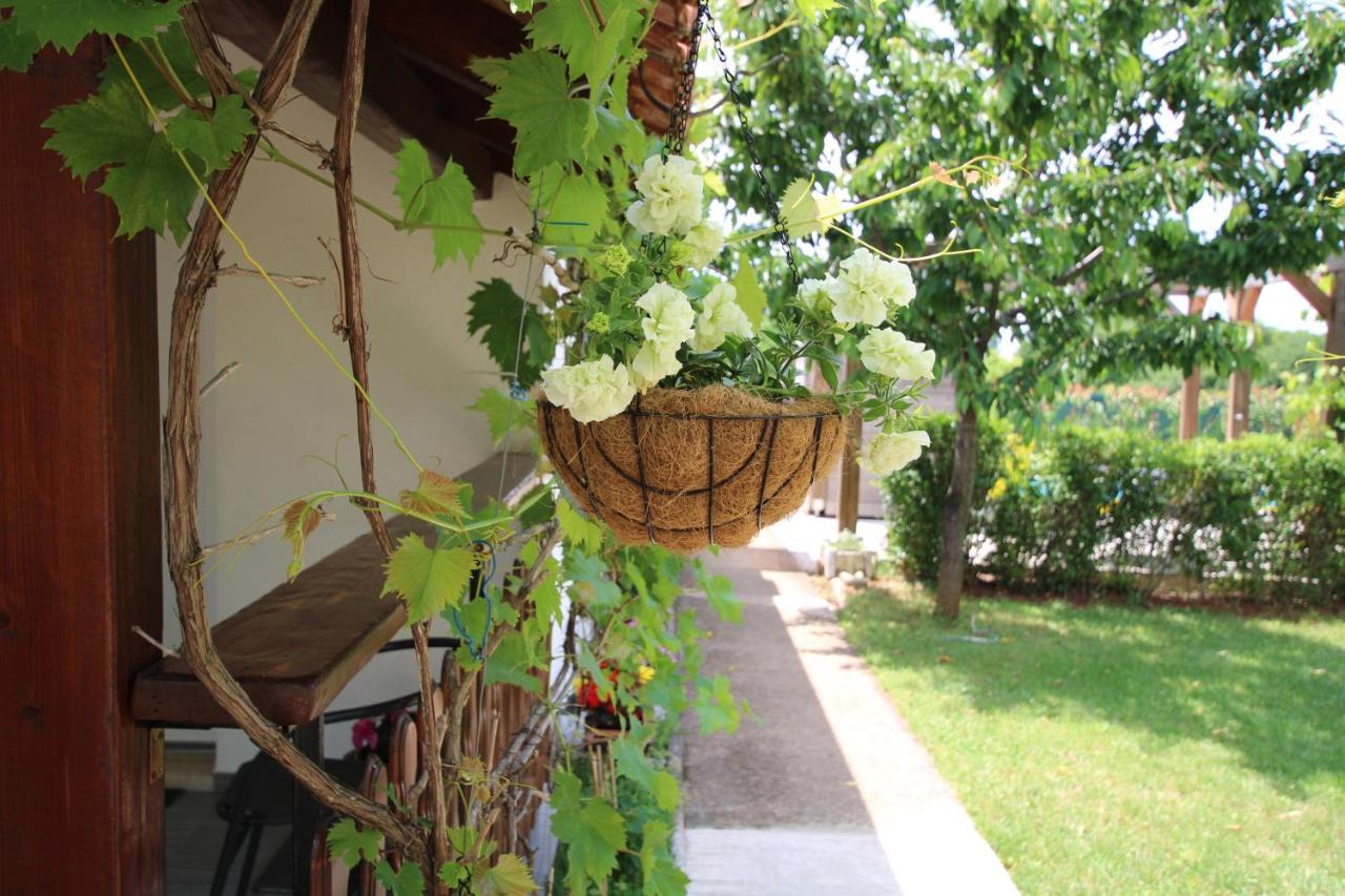 Garden Apartment