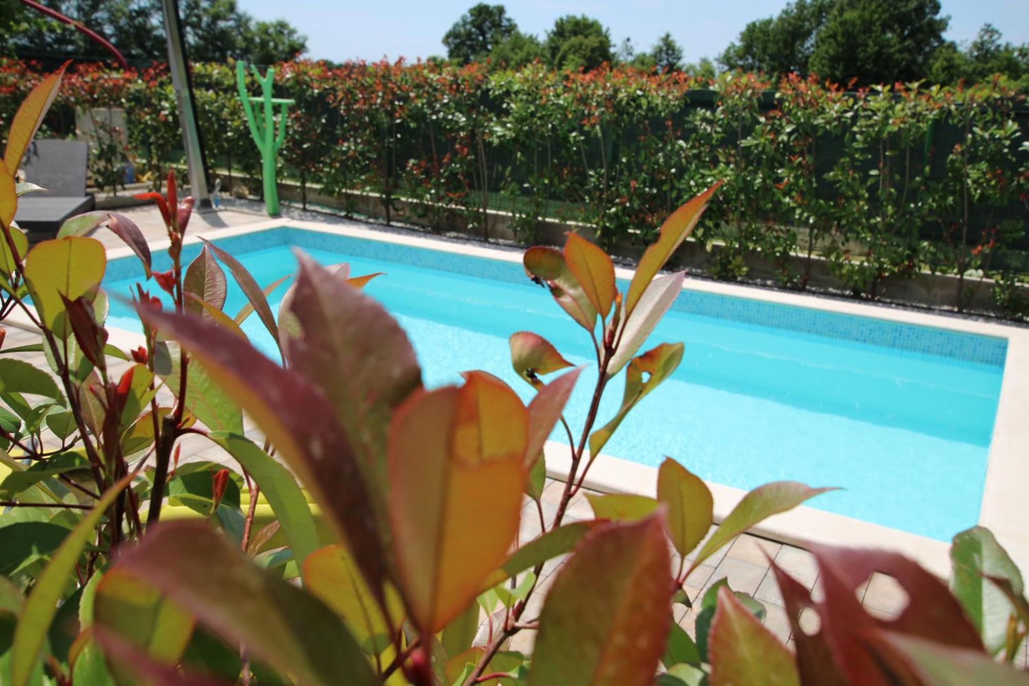 Apartment Garden Labinci